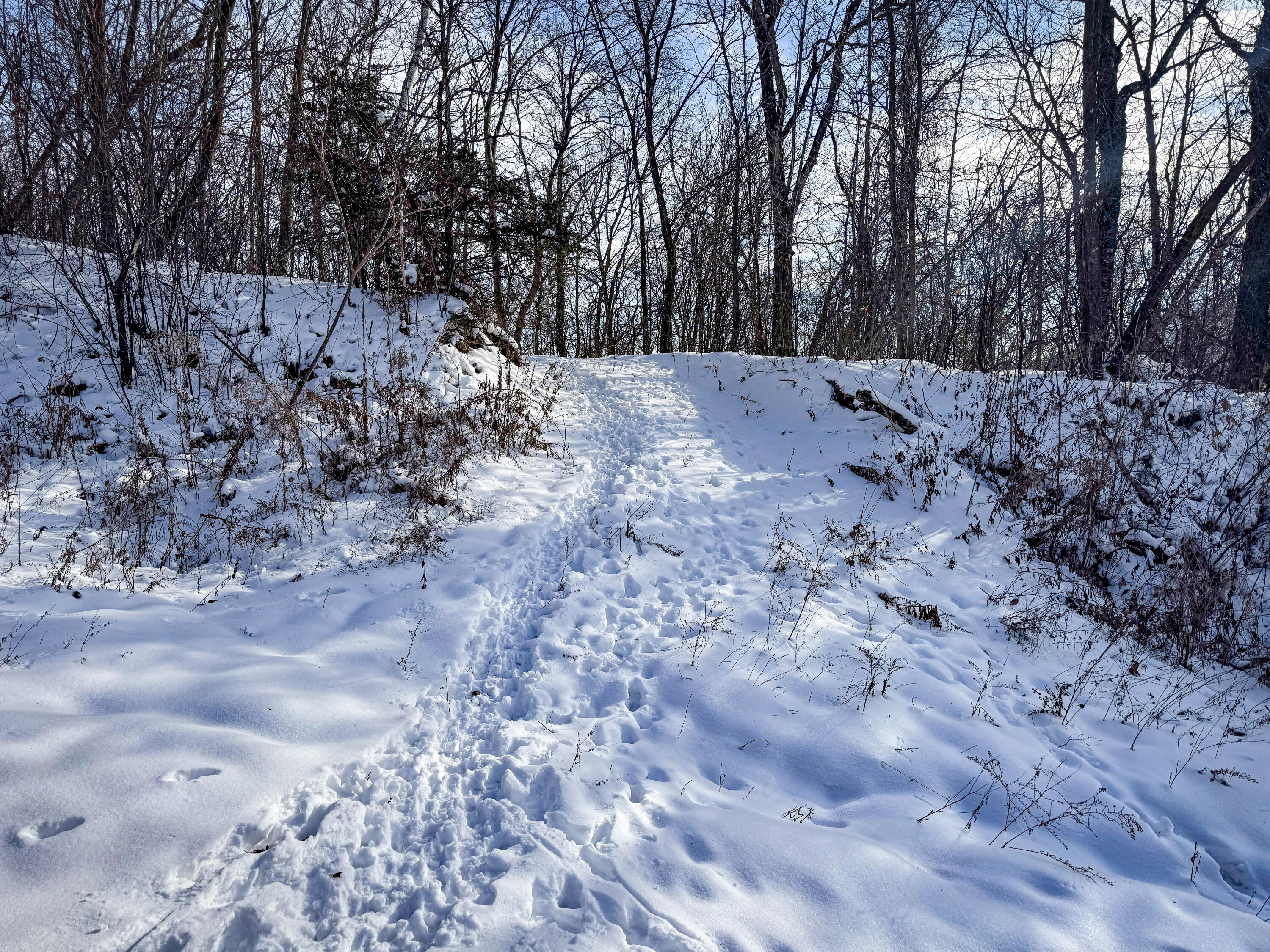 W27022 Whistlers Pass Road Trempealeau, WI 54661 - Photo 48 of 117 90-IMG_2548