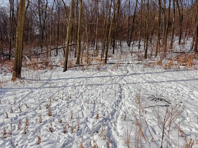 $806,000 | W27022 Whistlers Pass Road, Trempealeau, WI 54661