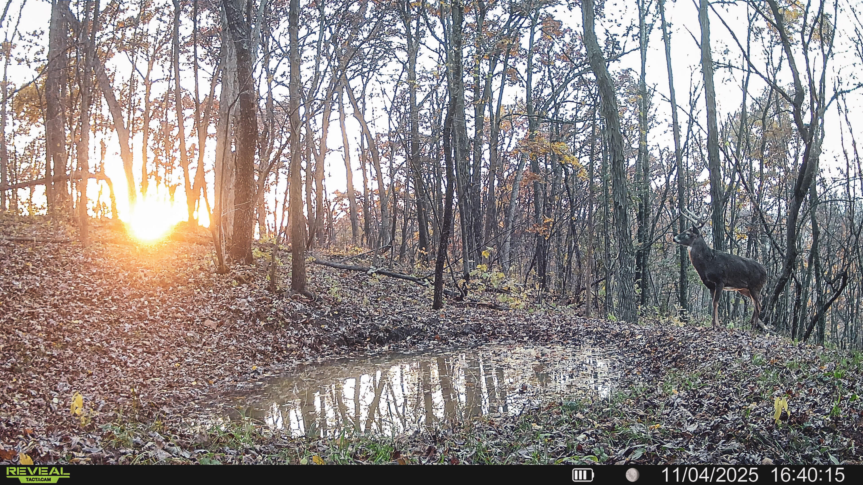 W27022 Whistlers Pass Road Trempealeau, WI 54661 - Photo 5 of 117 18-SYFW05815