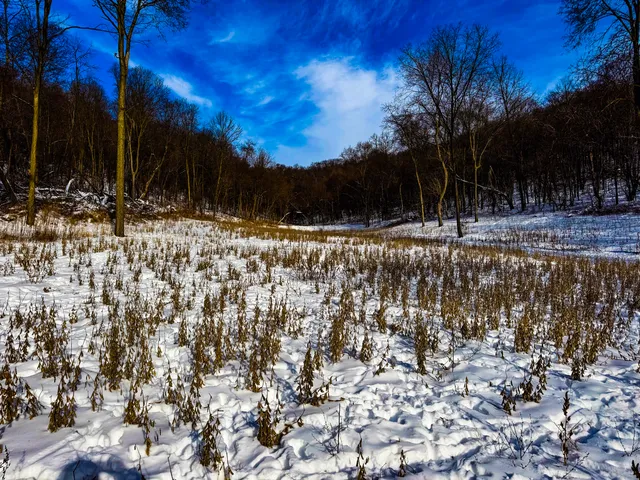 $806,000 | W27022 Whistlers Pass Road, Trempealeau, WI 54661