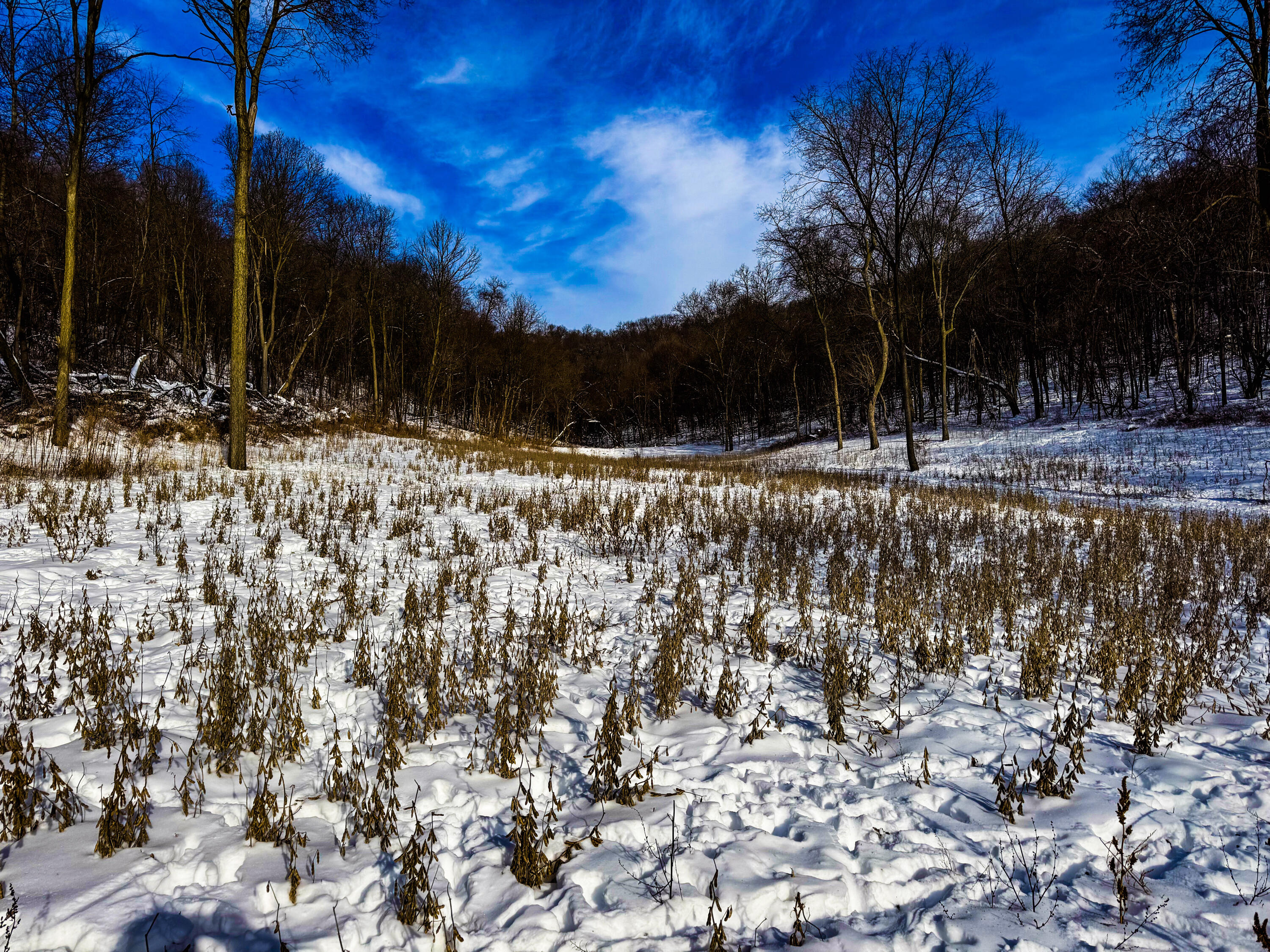 W27022 Whistlers Pass Road Trempealeau, WI 54661 - Photo 51 of 117 93-IMG_2552