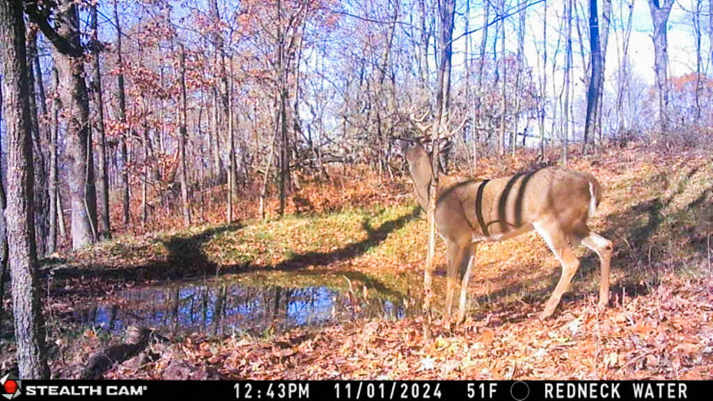 W27022 Whistlers Pass Road Trempealeau, WI 54661 - Photo 54 of 117 62-IMG_2452