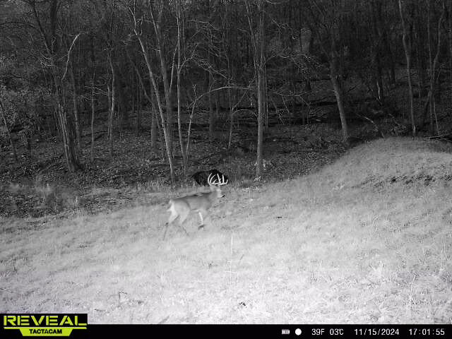 W27022 Whistlers Pass Road Trempealeau, WI 54661 - Photo 55 of 117 63-IMG_2458