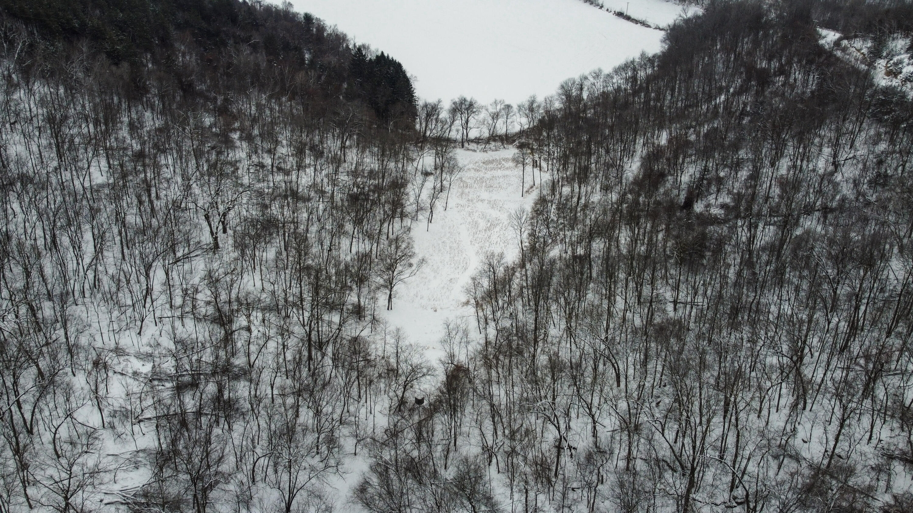 W27022 Whistlers Pass Road Trempealeau, WI 54661 - Photo 59 of 117 72-DJI_0389