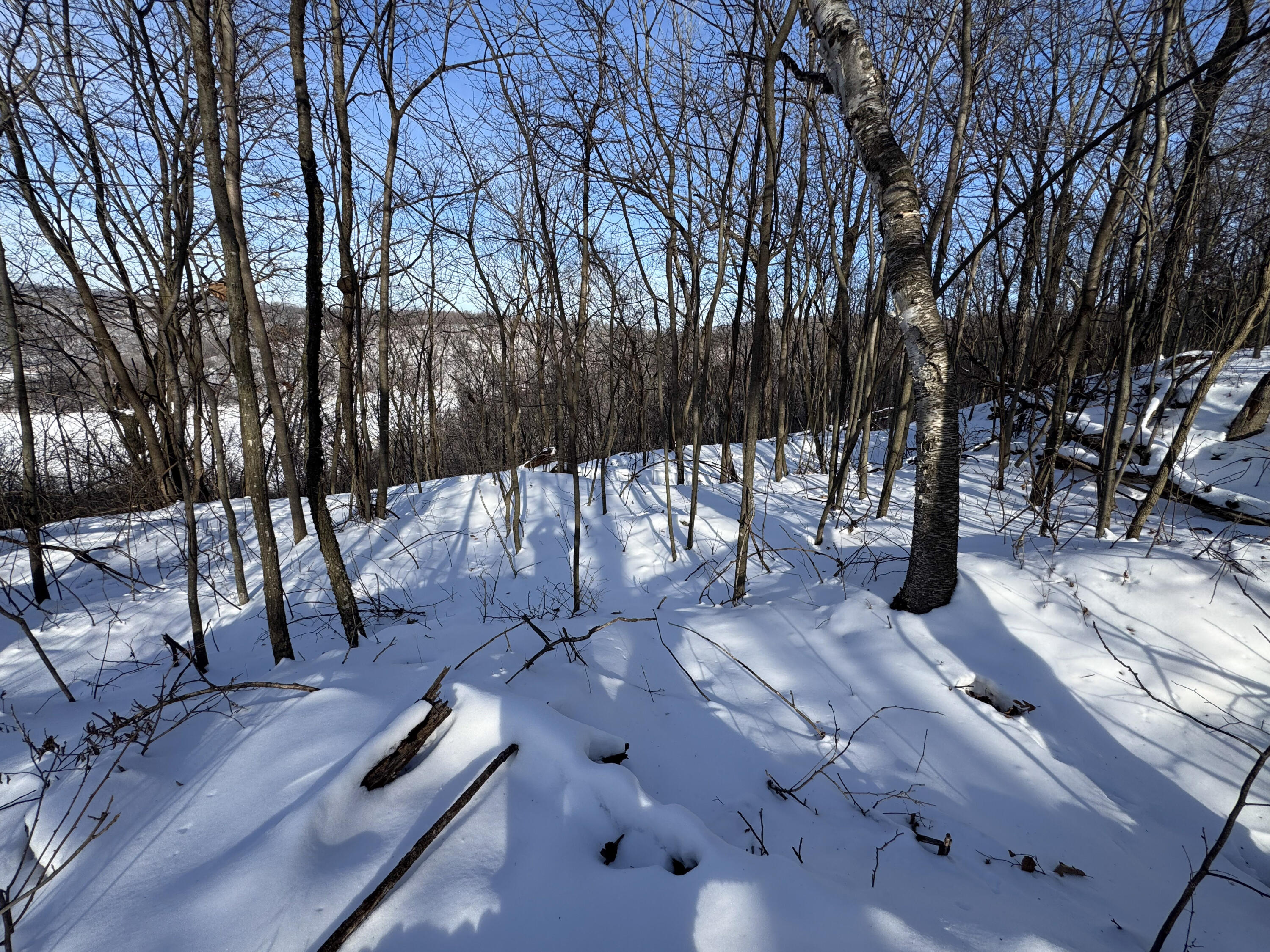 W27022 Whistlers Pass Road Trempealeau, WI 54661 - Photo 6 of 117 112-IMG_2583