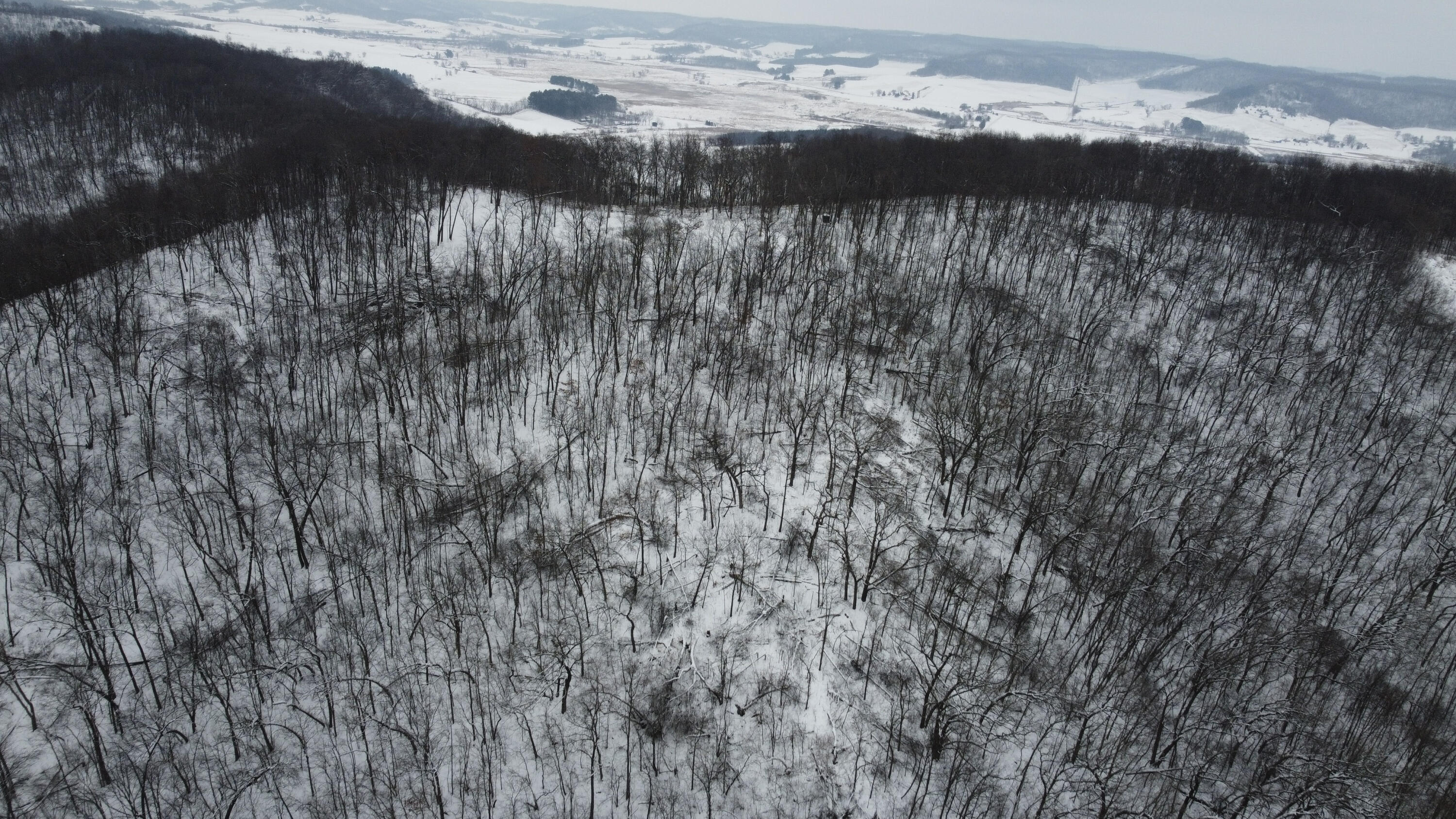 W27022 Whistlers Pass Road Trempealeau, WI 54661 - Photo 63 of 117 77-DJI_0403