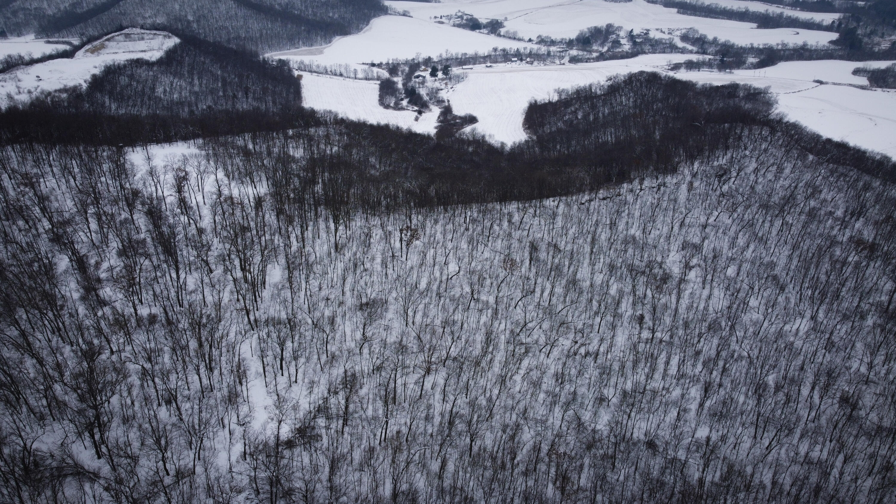 W27022 Whistlers Pass Road Trempealeau, WI 54661 - Photo 64 of 117 78-DJI_0410