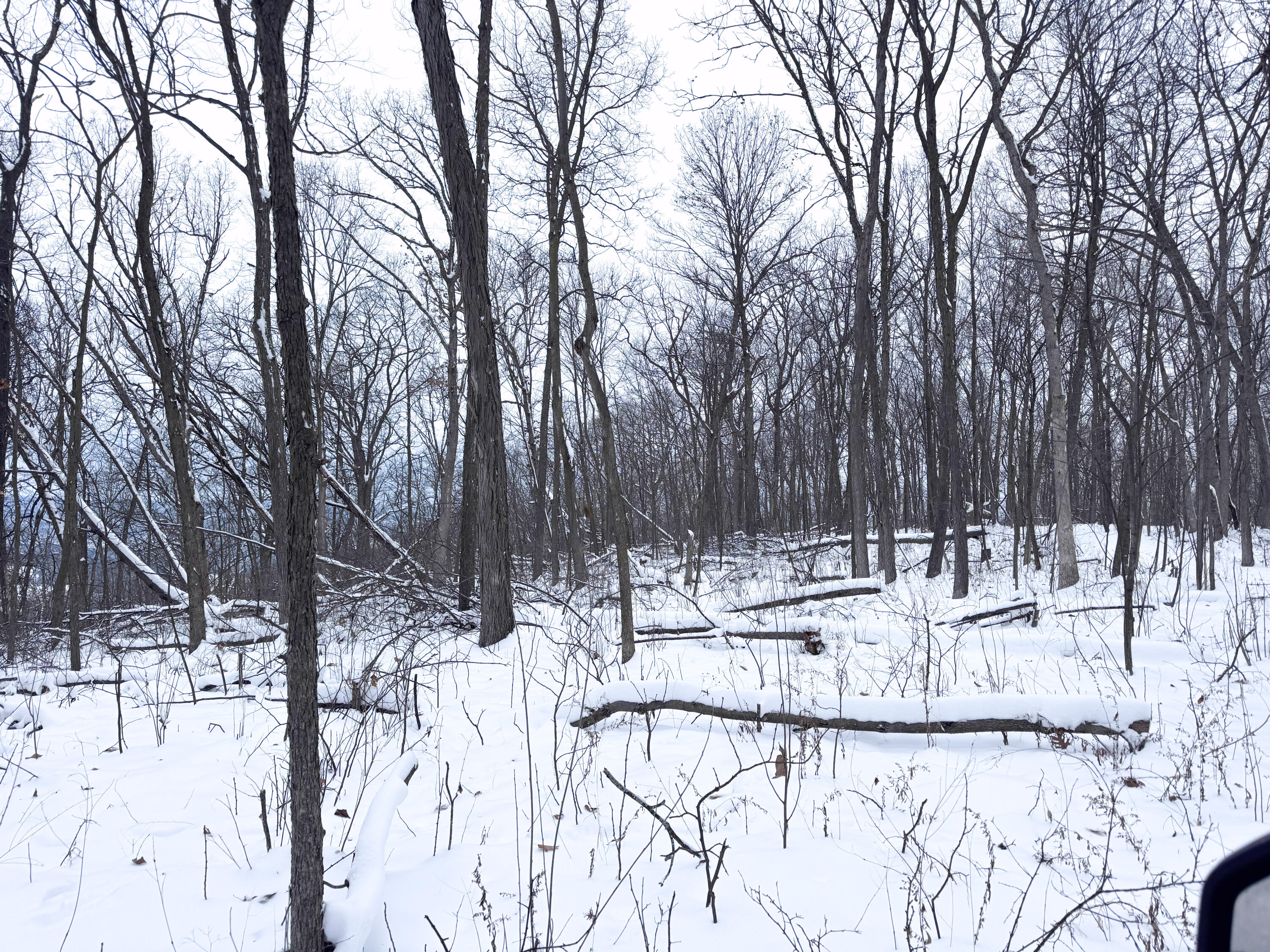 W27022 Whistlers Pass Road Trempealeau, WI 54661 - Photo 67 of 117 82-IMG_2508