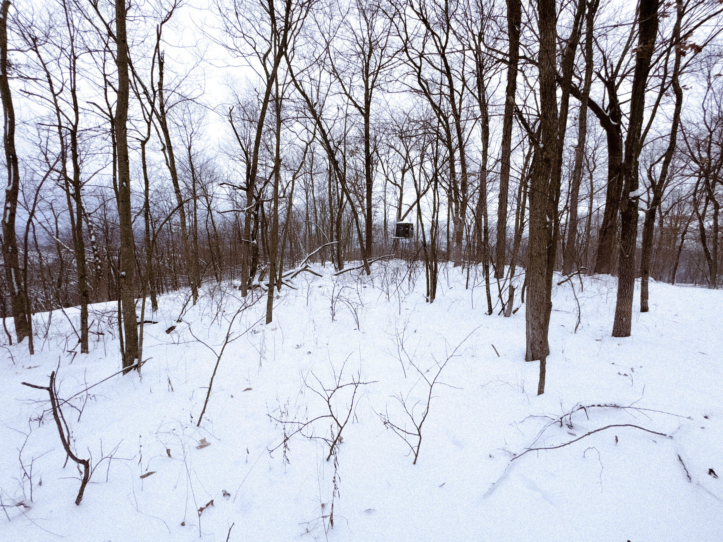 W27022 Whistlers Pass Road Trempealeau, WI 54661 - Photo 68 of 117 83-IMG_2509