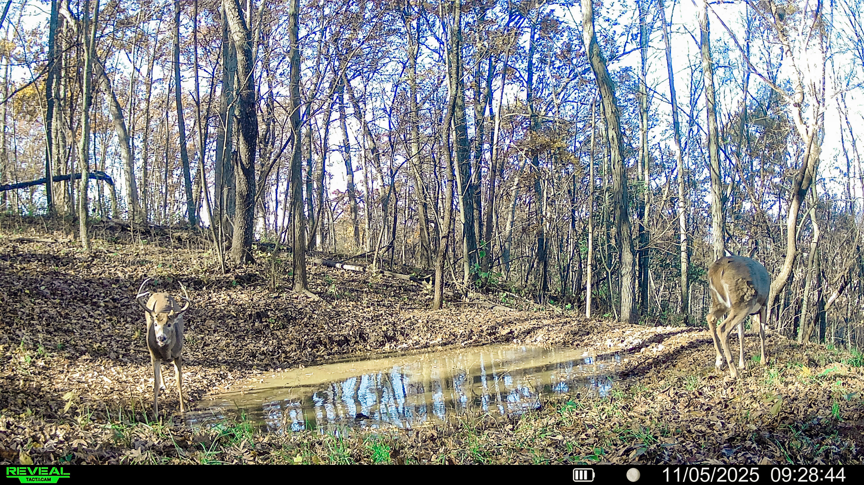 W27022 Whistlers Pass Road Trempealeau, WI 54661 - Photo 70 of 117 20-SYFW05841