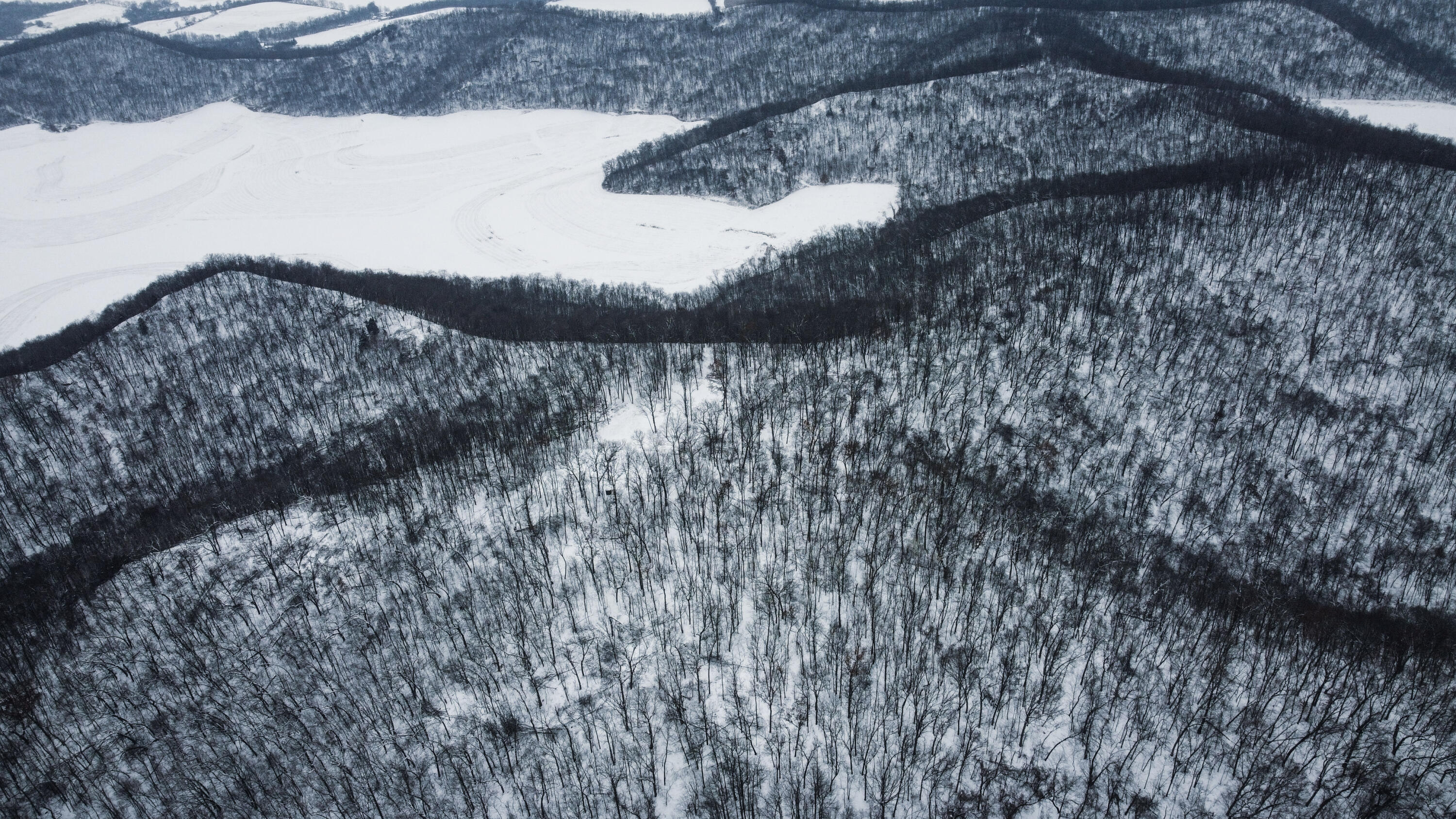 W27022 Whistlers Pass Road Trempealeau, WI 54661 - Photo 7 of 117 80-DJI_0416