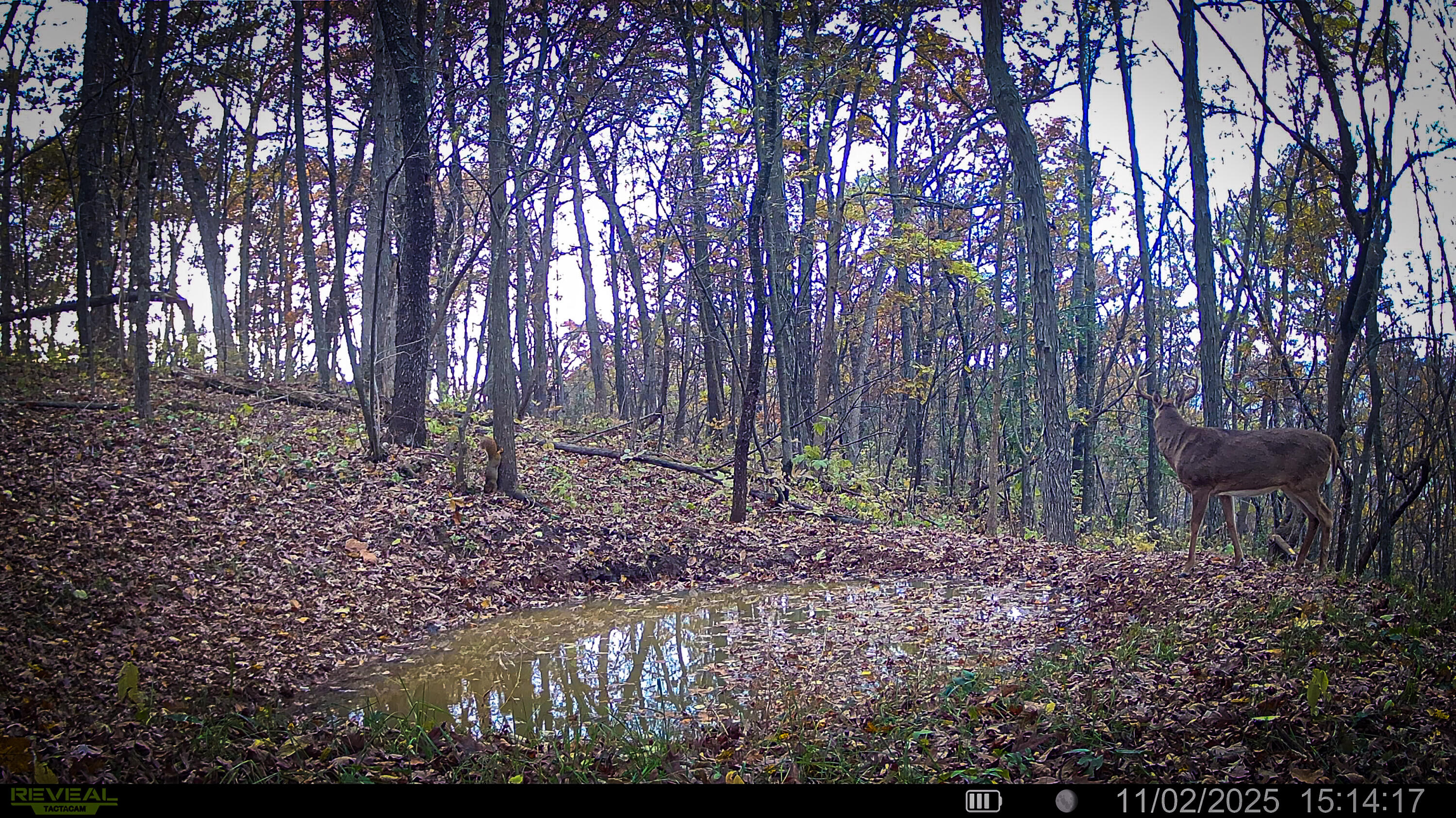 W27022 Whistlers Pass Road Trempealeau, WI 54661 - Photo 71 of 117 22-SYFW05731
