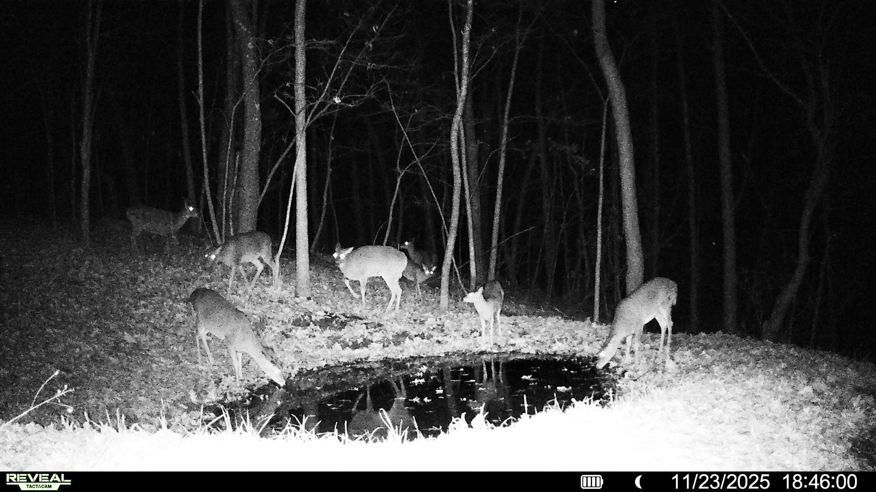 W27022 Whistlers Pass Road Trempealeau, WI 54661 - Photo 73 of 117 24-SYFW06636