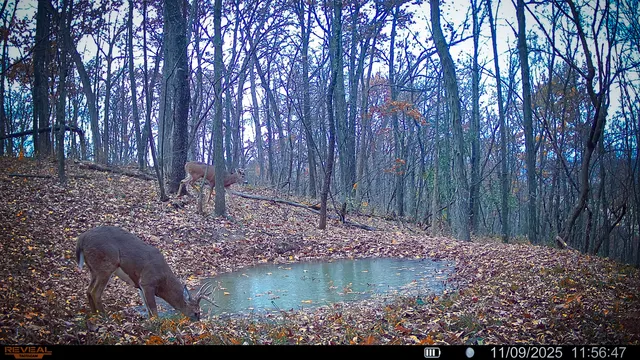 $806,000 | W27022 Whistlers Pass Road, Trempealeau, WI 54661