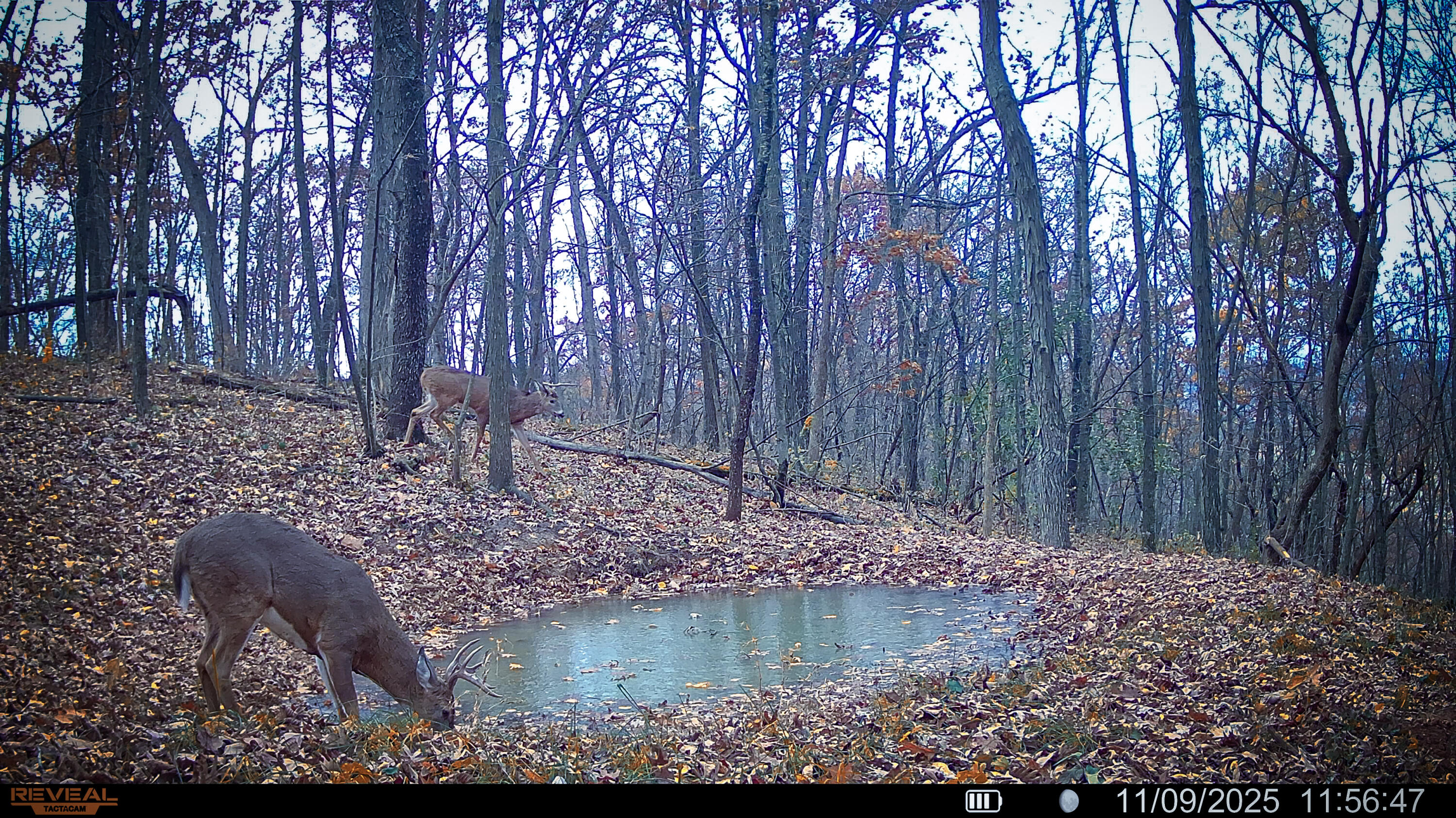 W27022 Whistlers Pass Road Trempealeau, WI 54661 - Photo 74 of 117 25-SYFW05969