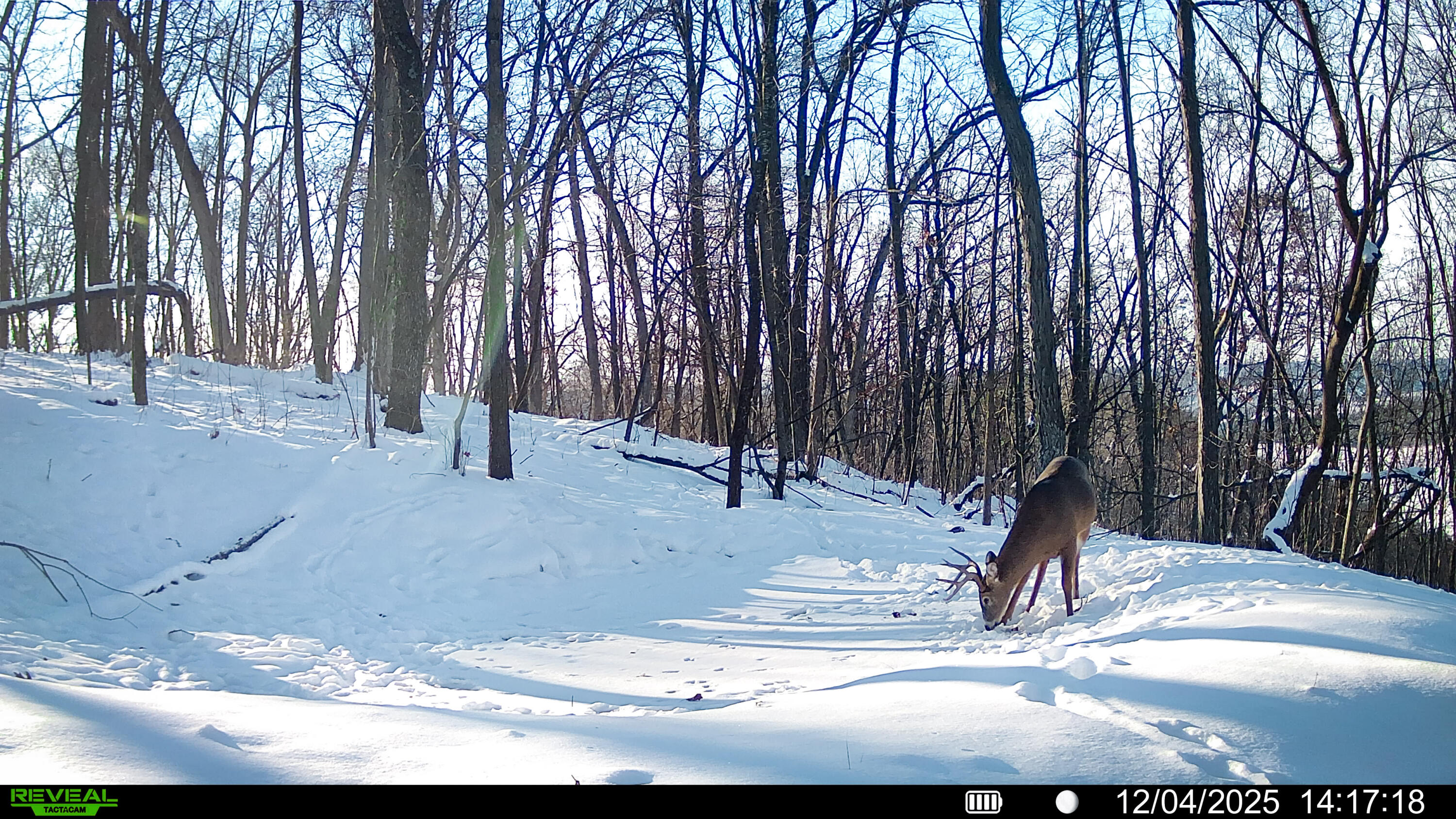 W27022 Whistlers Pass Road Trempealeau, WI 54661 - Photo 75 of 117 26-SYFW06790