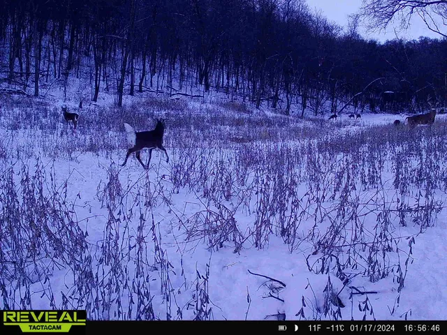 $806,000 | W27022 Whistlers Pass Road, Trempealeau, WI 54661