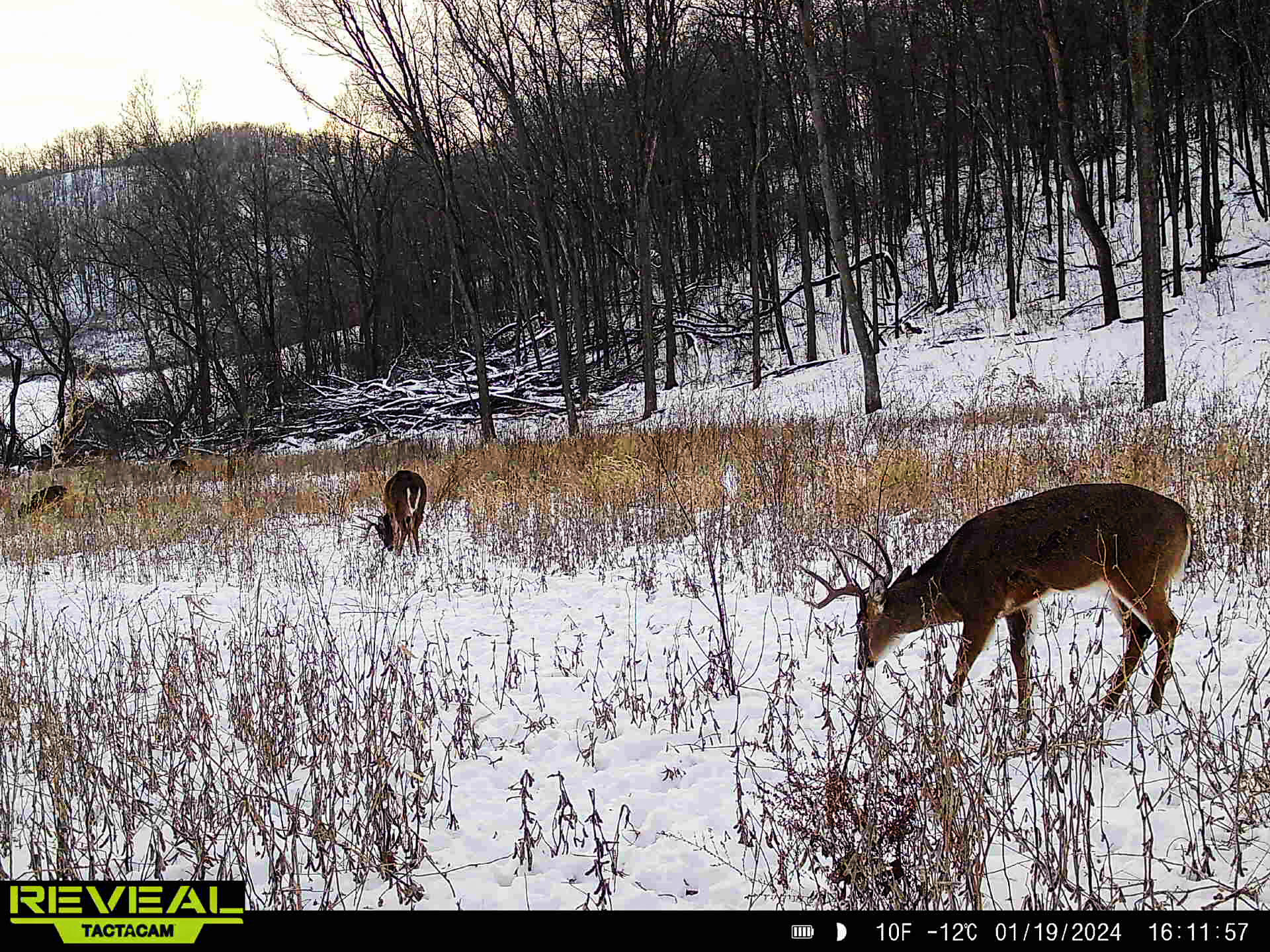 W27022 Whistlers Pass Road Trempealeau, WI 54661 - Photo 79 of 117 31-865814044827549-100-2-01192024161156-
