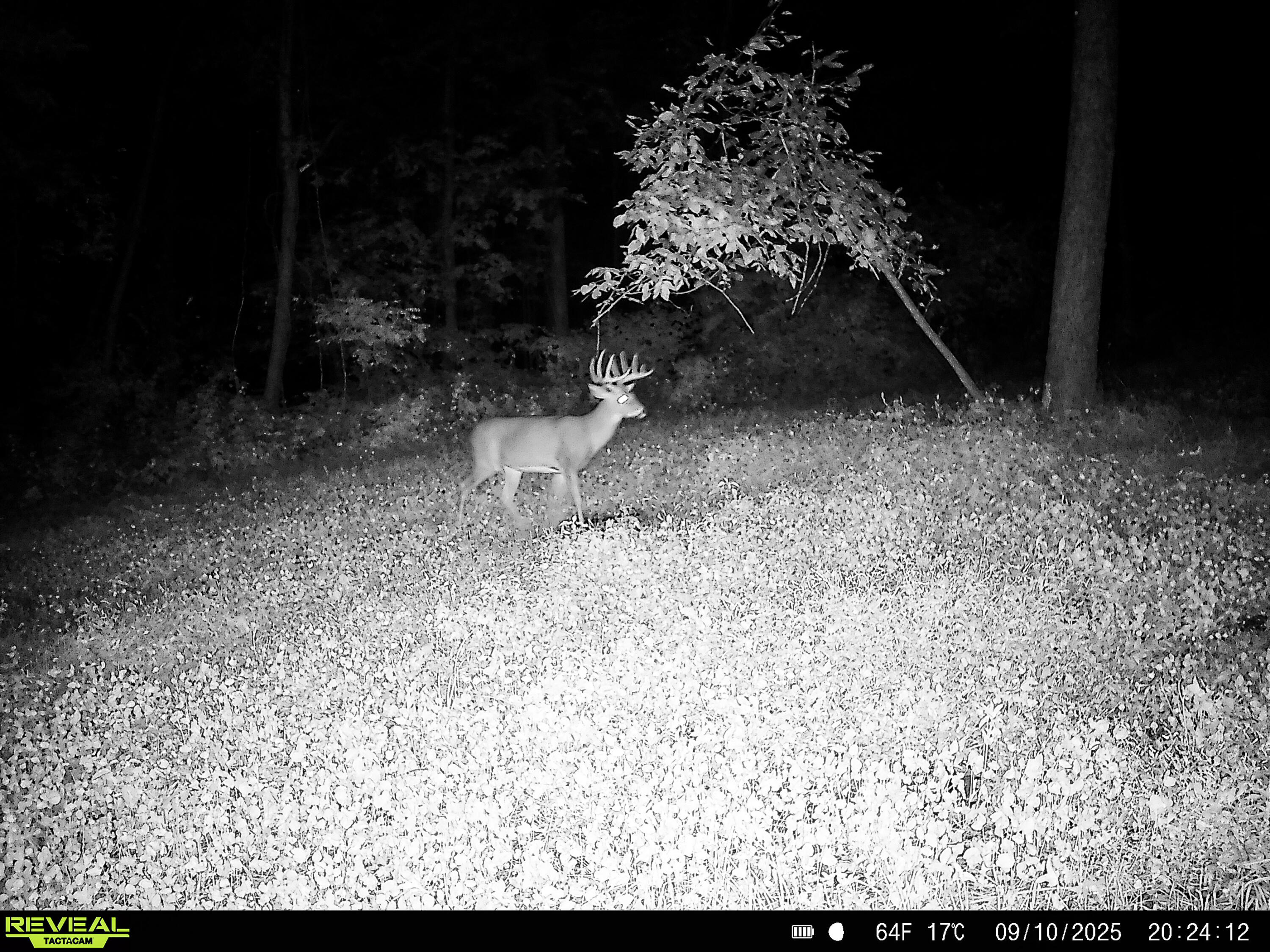 W27022 Whistlers Pass Road Trempealeau, WI 54661 - Photo 80 of 117 34-SYFW6604