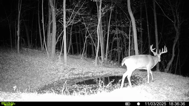 $806,000 | W27022 Whistlers Pass Road, Trempealeau, WI 54661