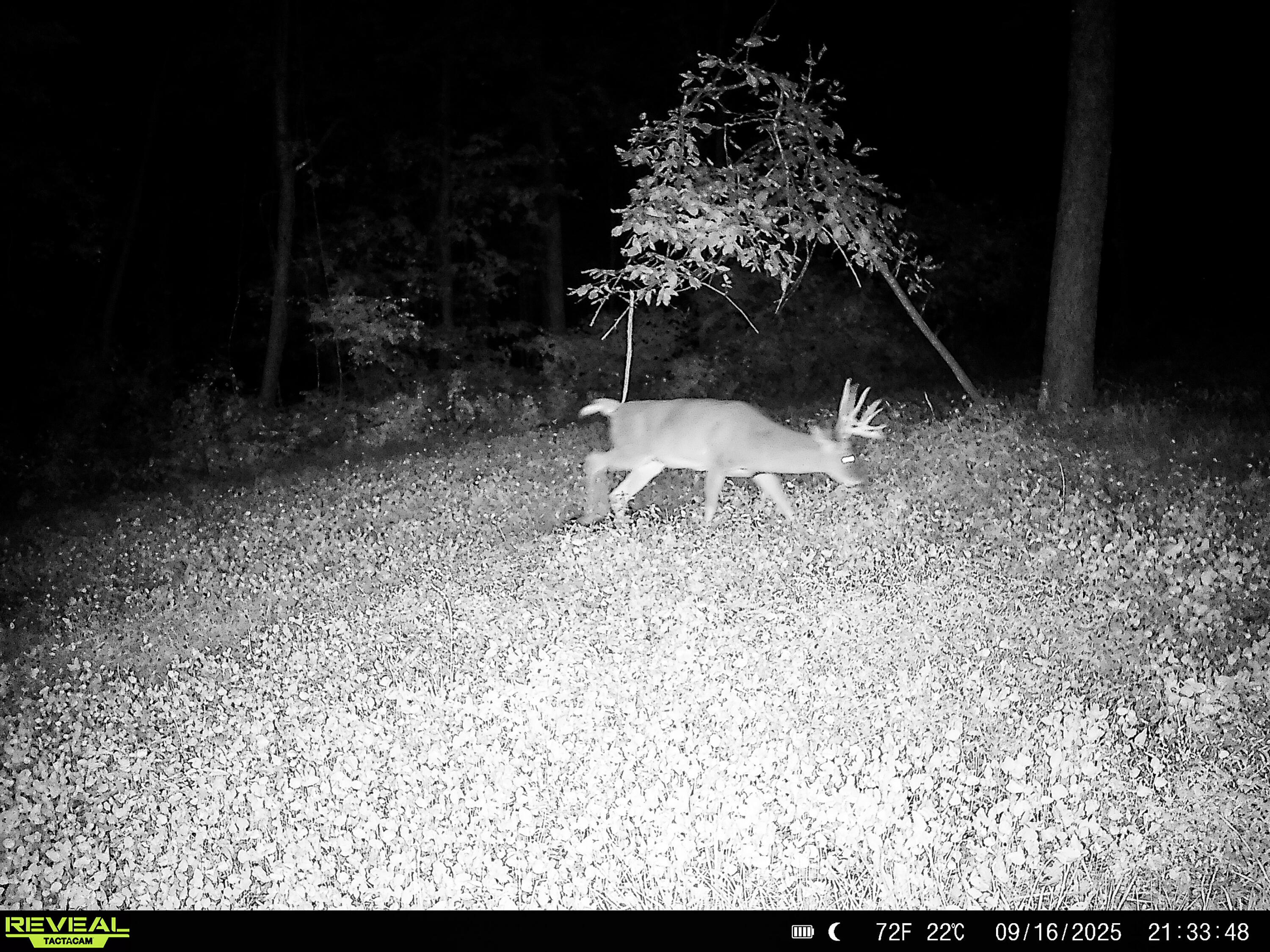 W27022 Whistlers Pass Road Trempealeau, WI 54661 - Photo 81 of 117 35-SYFW6714