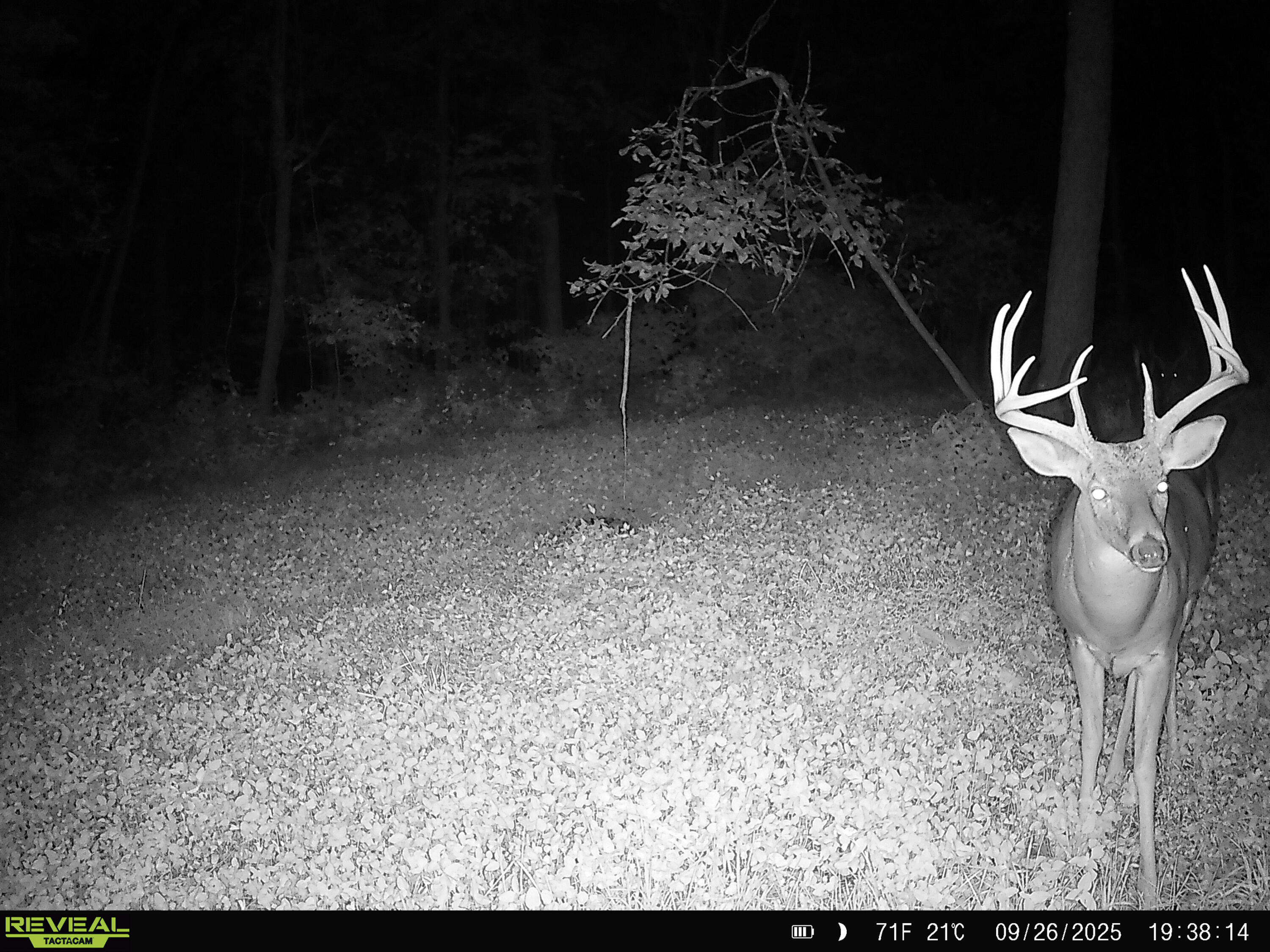 W27022 Whistlers Pass Road Trempealeau, WI 54661 - Photo 82 of 117 36-SYFW6762