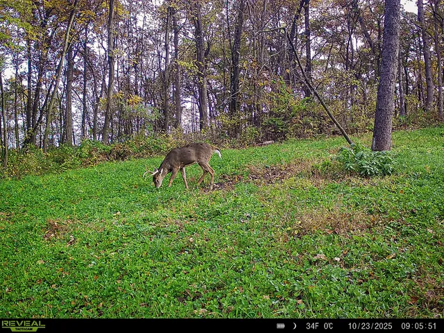 $806,000 | W27022 Whistlers Pass Road, Trempealeau, WI 54661