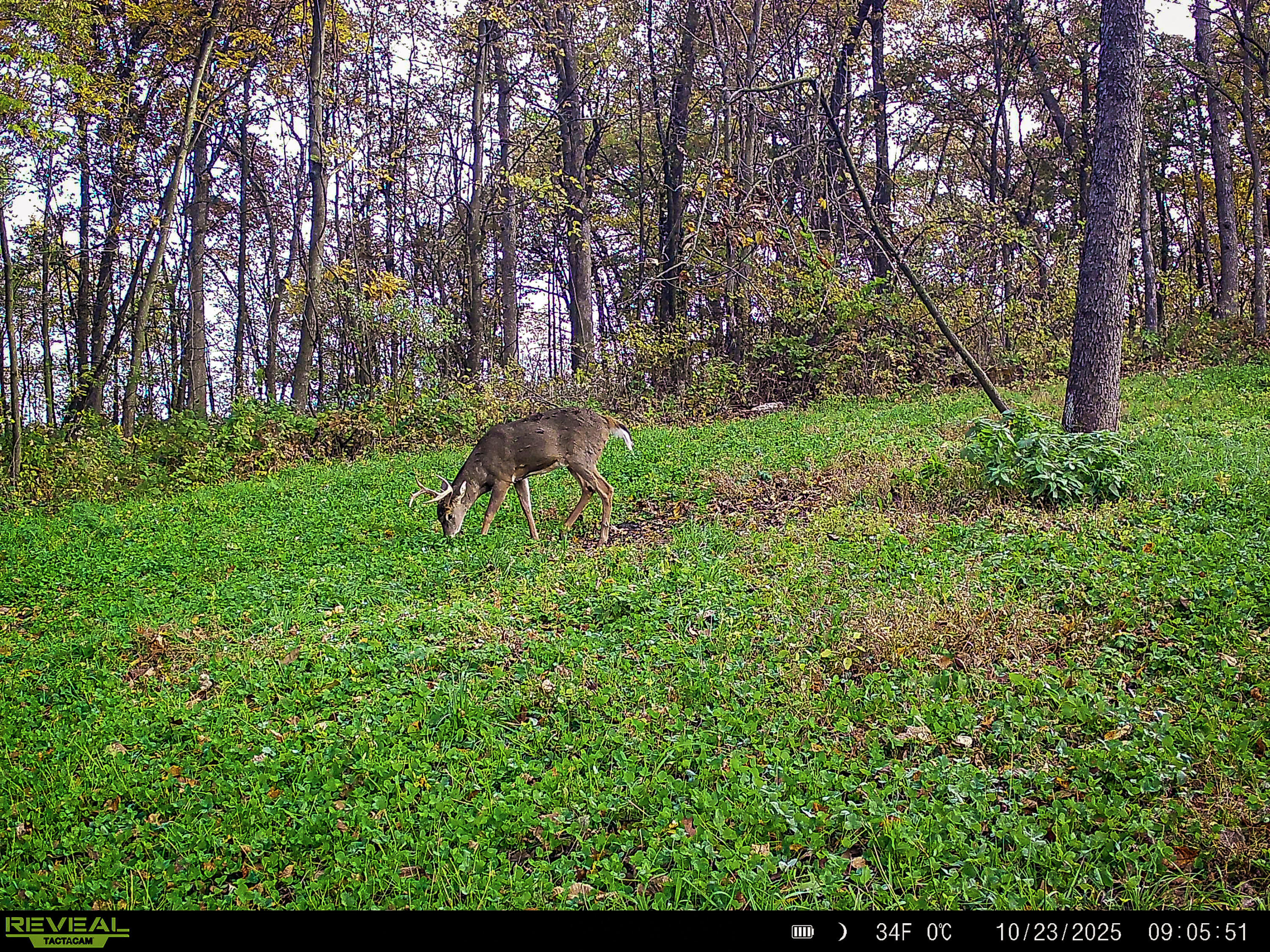 W27022 Whistlers Pass Road Trempealeau, WI 54661 - Photo 83 of 117 37-SYFW7092