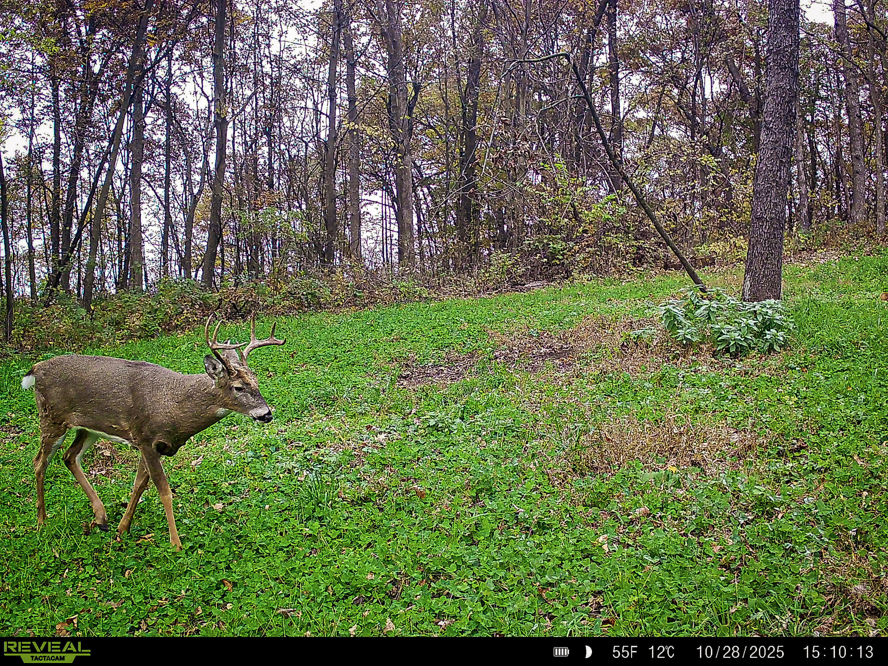 W27022 Whistlers Pass Road Trempealeau, WI 54661 - Photo 85 of 117 40-SYFW7270