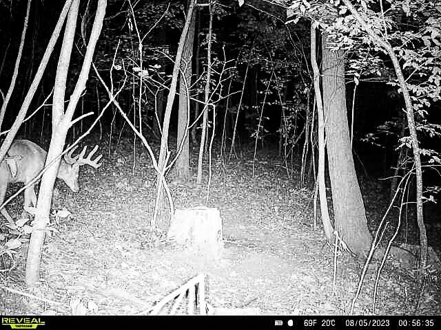 W27022 Whistlers Pass Road Trempealeau, WI 54661 - Photo 87 of 117 42-IMG_2409