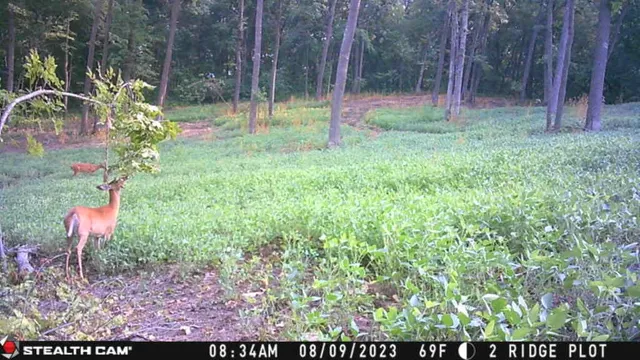 $806,000 | W27022 Whistlers Pass Road, Trempealeau, WI 54661