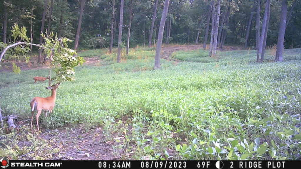 W27022 Whistlers Pass Road Trempealeau, WI 54661 - Photo 89 of 117 44-IMG_2412