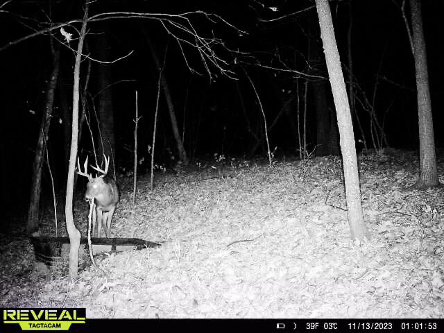 W27022 Whistlers Pass Road Trempealeau, WI 54661 - Photo 92 of 117 49-IMG_2423