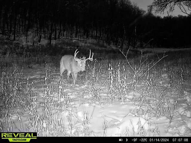 W27022 Whistlers Pass Road Trempealeau, WI 54661 - Photo 94 of 117 51-IMG_2427