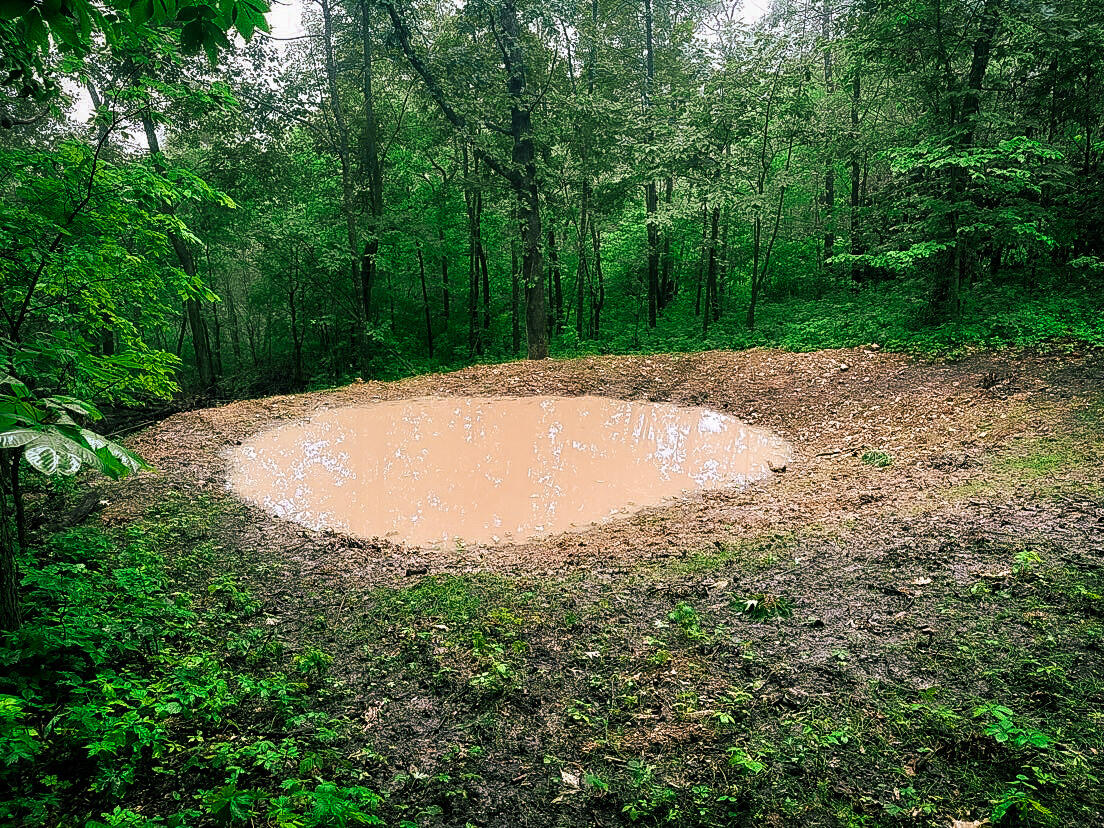 W27022 Whistlers Pass Road Trempealeau, WI 54661 - Photo 95 of 117 52-IMG_2428