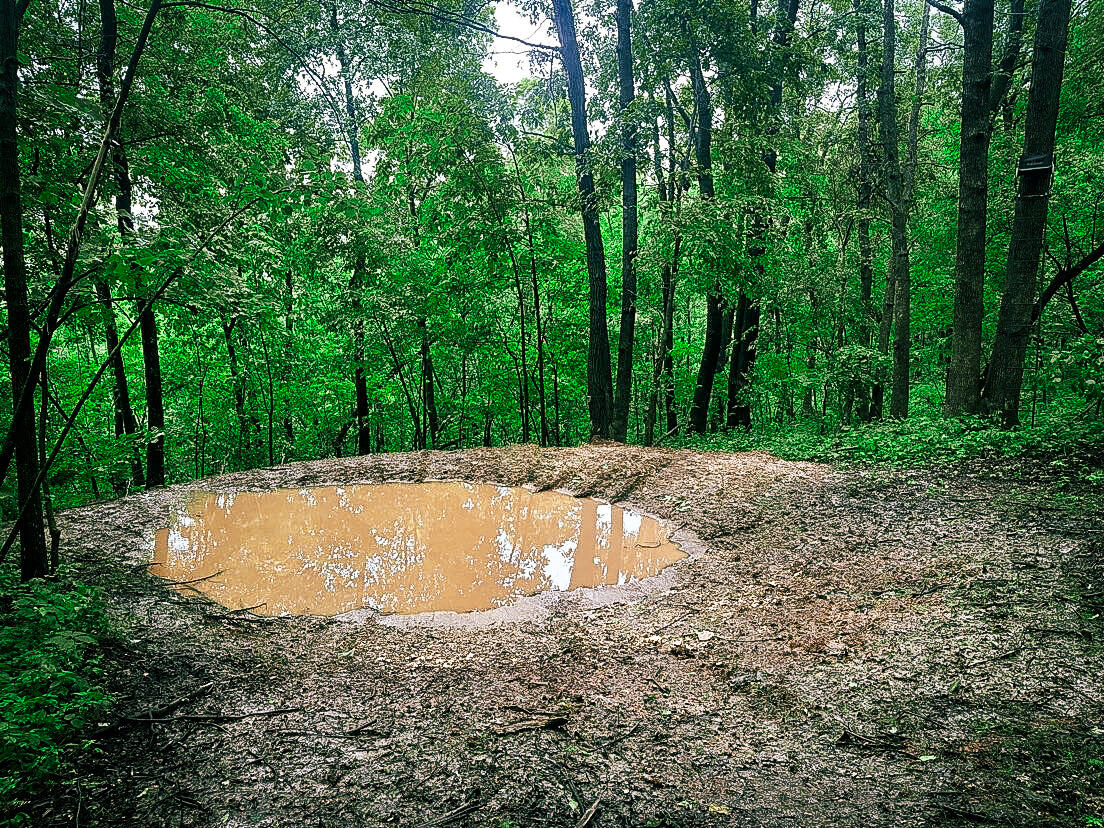 W27022 Whistlers Pass Road Trempealeau, WI 54661 - Photo 96 of 117 54-IMG_2432