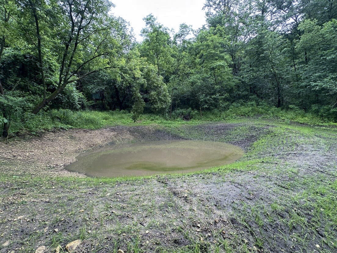 W27022 Whistlers Pass Road Trempealeau, WI 54661 - Photo 97 of 117 55-IMG_2433