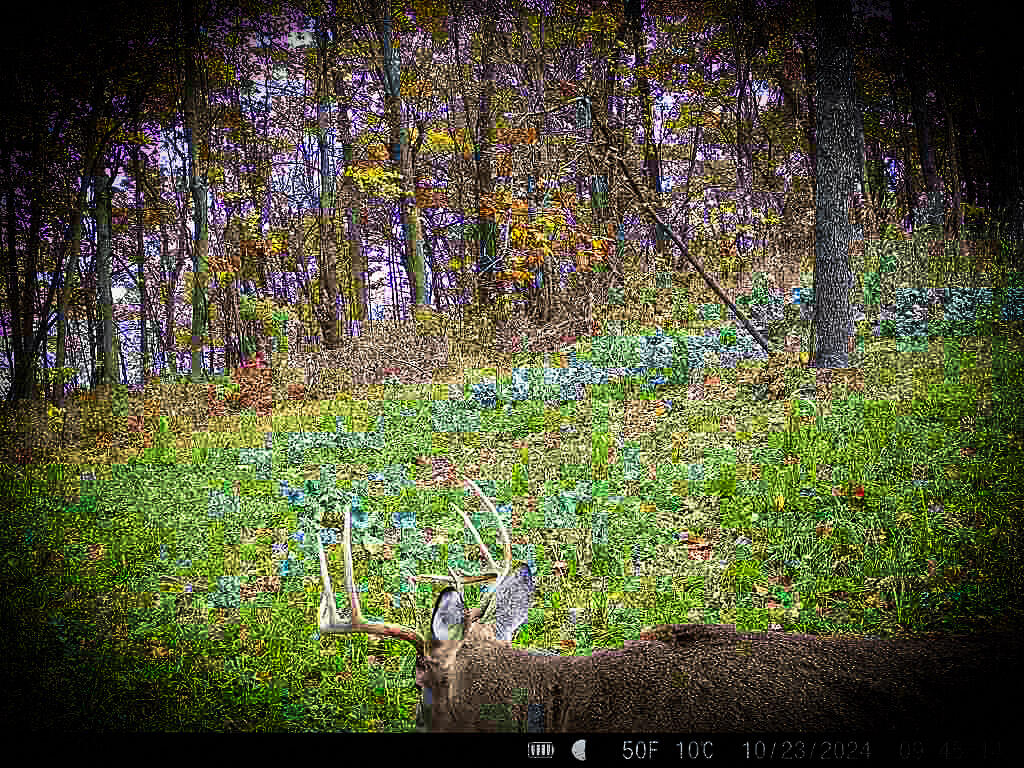 W27022 Whistlers Pass Road Trempealeau, WI 54661 - Photo 99 of 117 57-IMG_2445