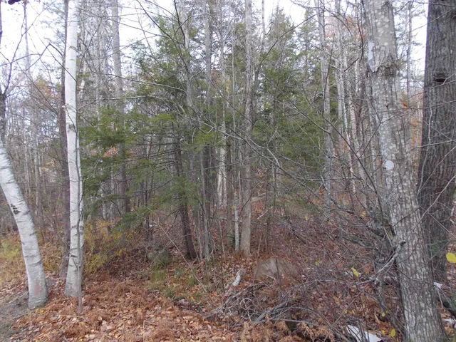 $144,900 | Lot 49 Mittenwald Strasse, Bartlett, NH 03838