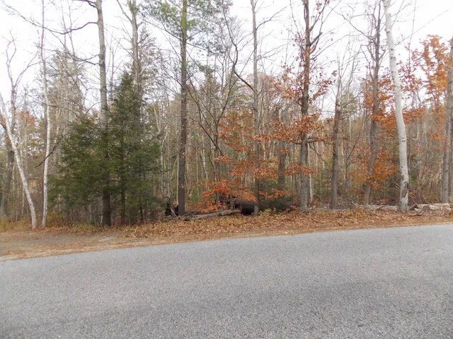 $144,900 | Lot 49 Mittenwald Strasse, Bartlett, NH 03838