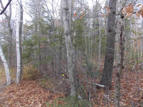 $144,900 | Lot 49 Mittenwald Strasse, Bartlett, NH 03838