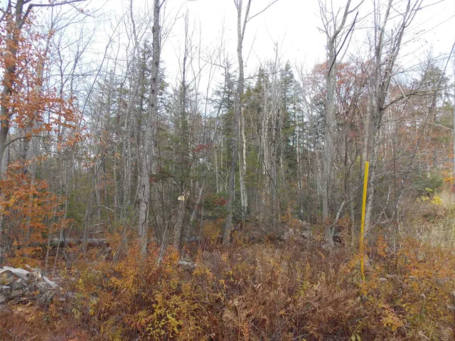 $144,900 | Lot 49 Mittenwald Strasse, Bartlett, NH 03838