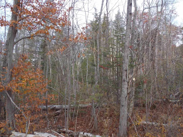 $144,900 | Lot 49 Mittenwald Strasse, Bartlett, NH 03838