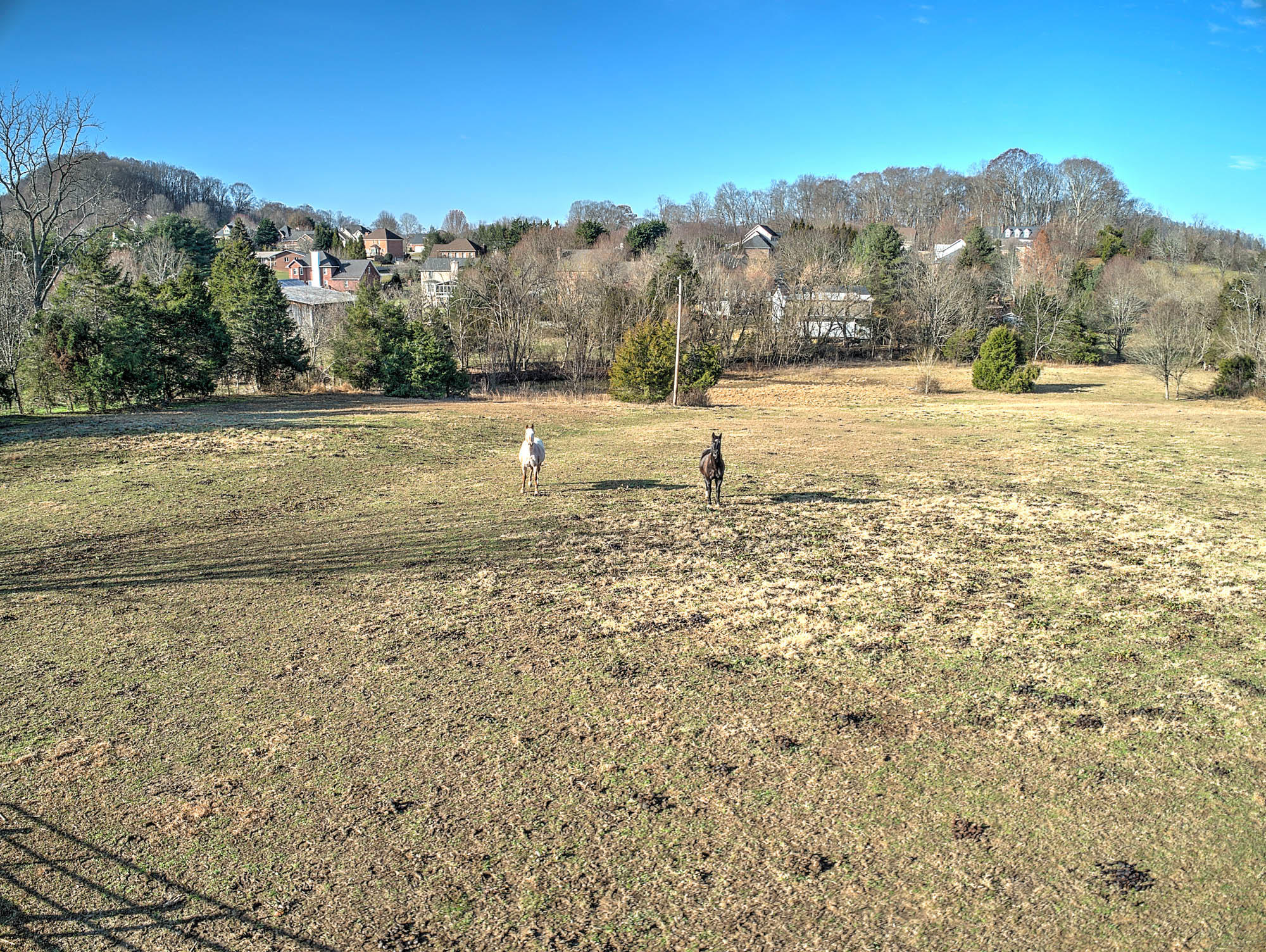 488 Pickens Road Kingsport, TN 37663 - Photo 56 of 65 488 Pickens Rd-26