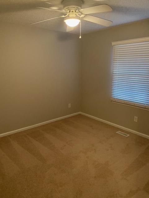 1610 Clyo-Kildare Road Clyo, GA 31303 - Photo 8 of 12 image2 2