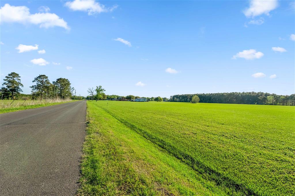 Tbd Bebee Road Iowa, LA 70647 - Photo 6 of 6
