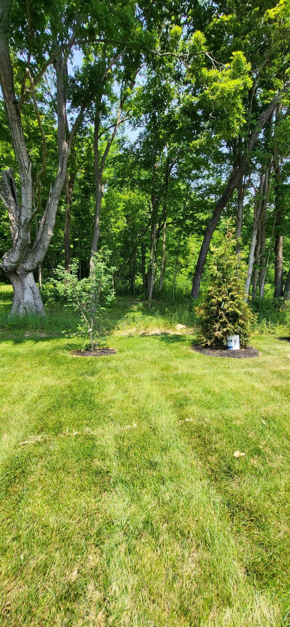 4097 Buttermilk Road Lexington, KY 40509 - Photo 9 of 50 20230604_135622