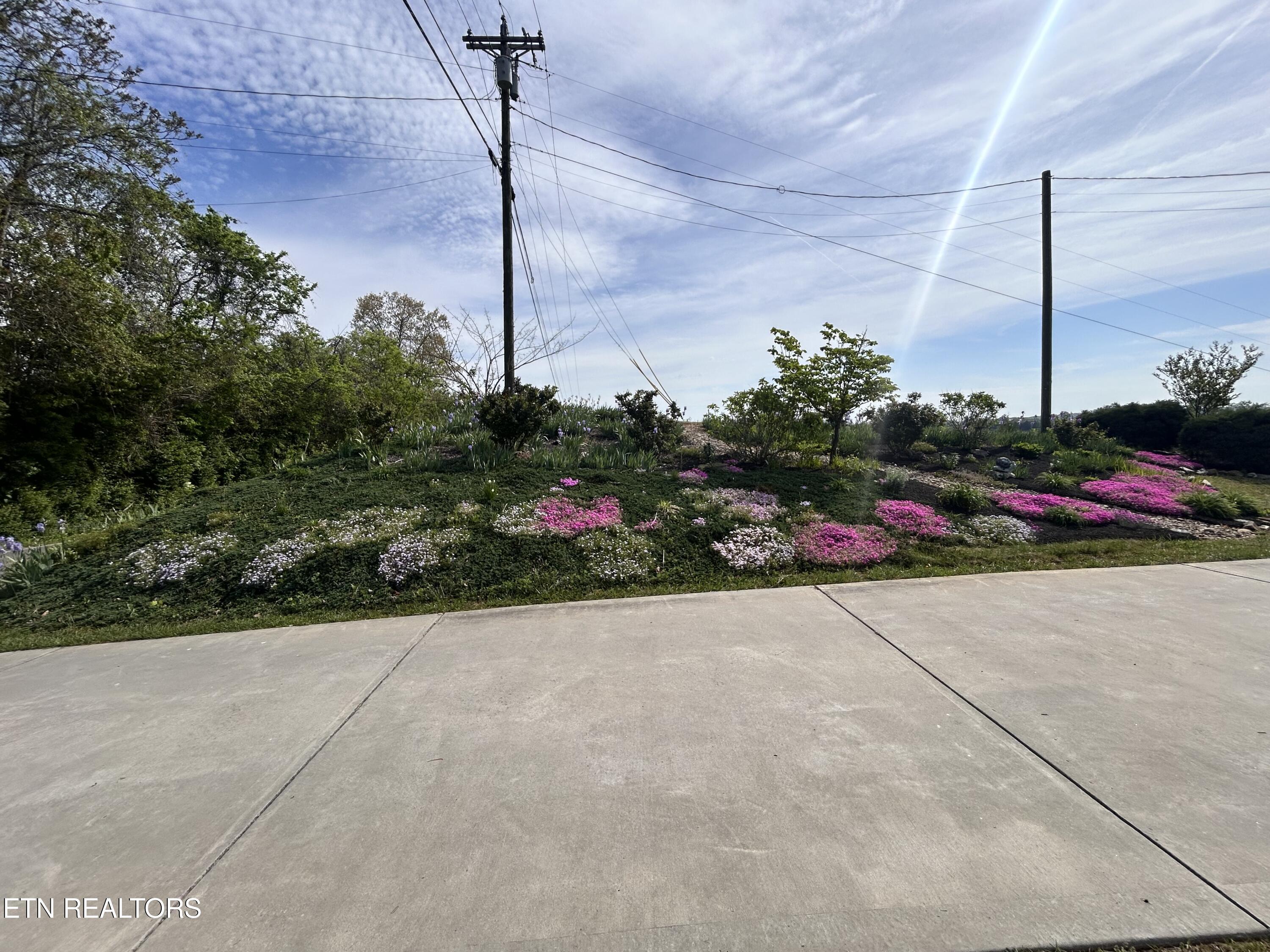 5502 Indian Ridge Road Rutledge, TN 37861 - Photo 13 of 14 IMG_2513