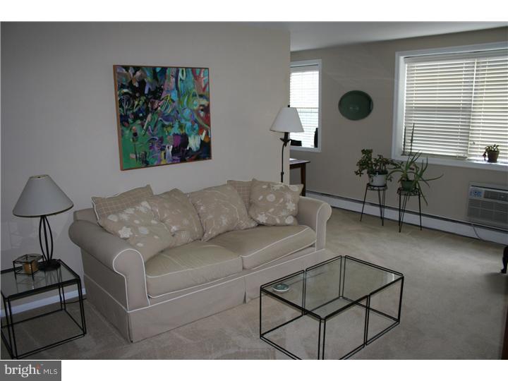 383 Lakeside Road, Unit 108 Ardmore, PA 19003 - Photo 4 of 18 Living Room