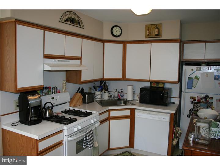 383 Lakeside Road, Unit 108 Ardmore, PA 19003 - Photo 5 of 18 Kitchen